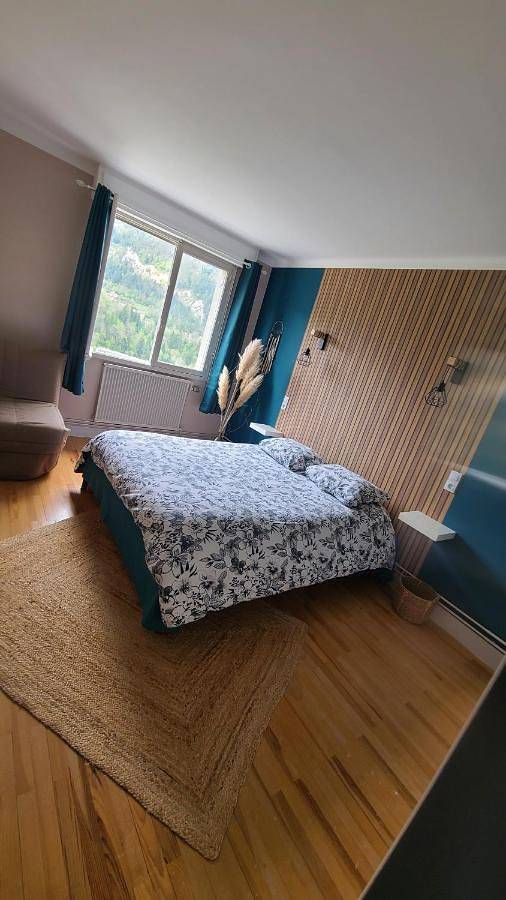 Appartement entier, One-Bedroom Apartment in Saint-Claude (Jura), Parc naturel régional du Haut-Jura