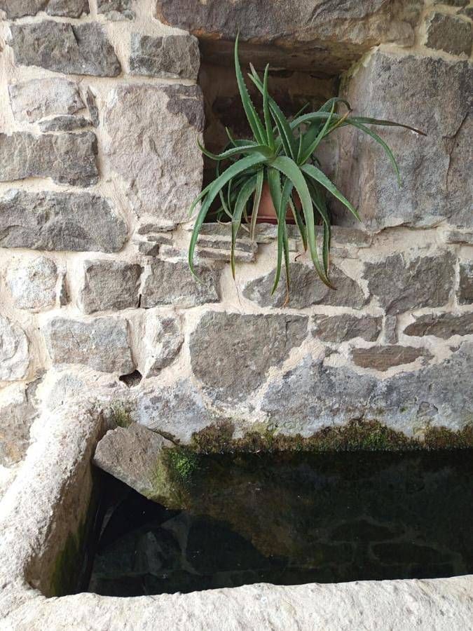 Cabaña Pasiega Única in Selaya, Cordillera Cantábrica