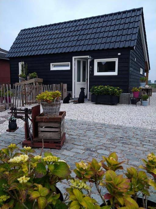 Chalet voor 4 personen, with tuin and sauna as well as uitzicht, met huisdier in Zeeland