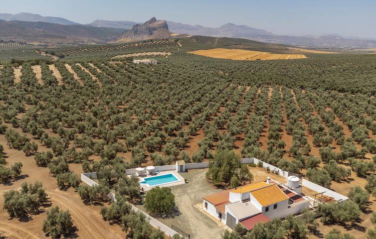 Modern 2BR Apartment with Pool, Parking, WiFi in Archidona, Málaga Province