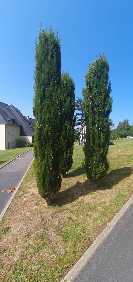 Gîte pour 3 personnes, avec vue dans Golf Blue Green Houlgate - 2