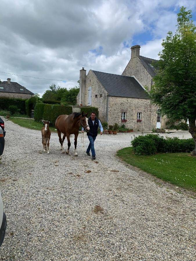 Gîte pour 2 personnes, avec terrasse et vue à Colleville-sur-Mer - 2
