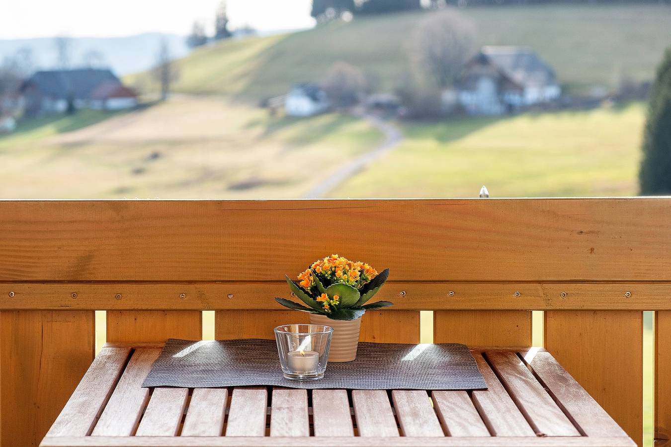 Ganze Wohnung, Ferienwohnung "Storchennest" mit Bergblick, Gemeinschaftsgarten und Wlan in Breitnau, Südschwarzwald