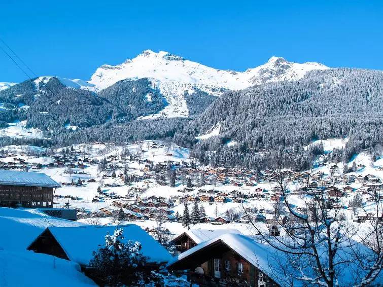 Ganze Wohnung, 1 Pièce 2 Personnes in Grindelwald, Grindelwald und Umgebung