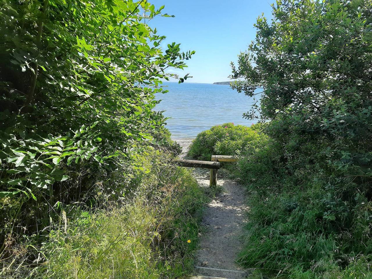 Ganze Wohnung, 6 Personen Ferienhaus in Lemvig-By Traum in Lemvig, Limfjord in Westjütland