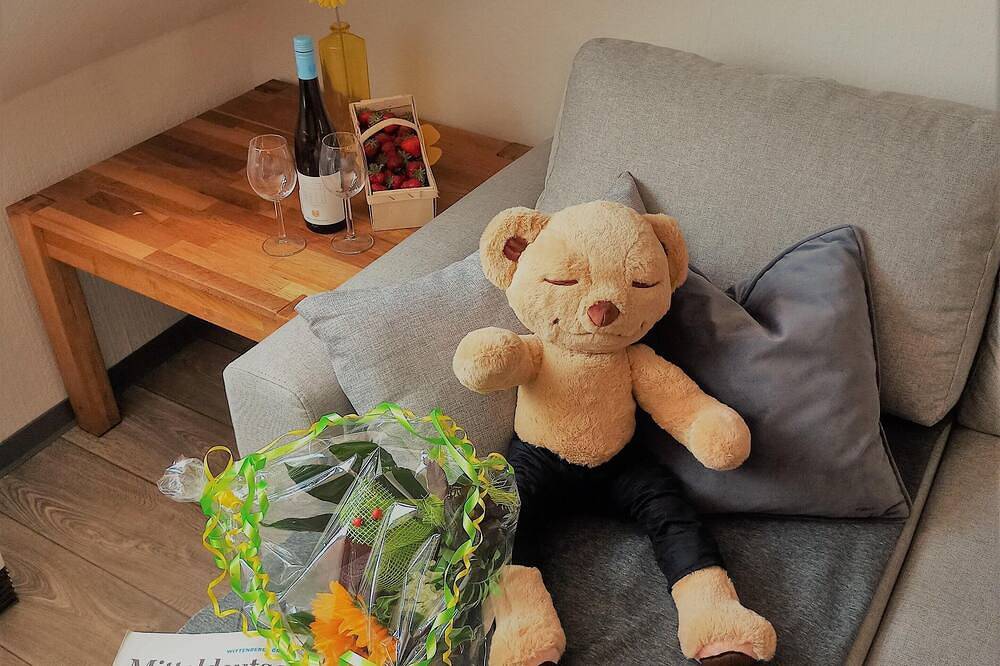 Ganze Wohnung, Turmblick Gästequartier Coswig: Hier erwartet Sie individueller Service im Herzen der Altstadt. in Coswig (Anhalt), Dessau-Wörlitzer Gartenreich