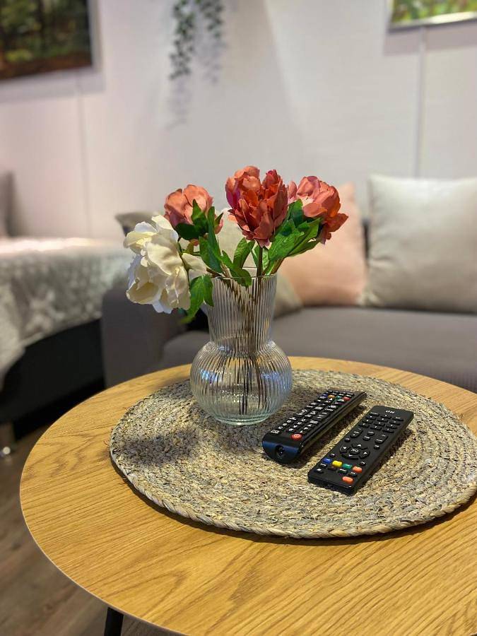 Ganze Wohnung, Apartment Mette in Mayen, Osteifel