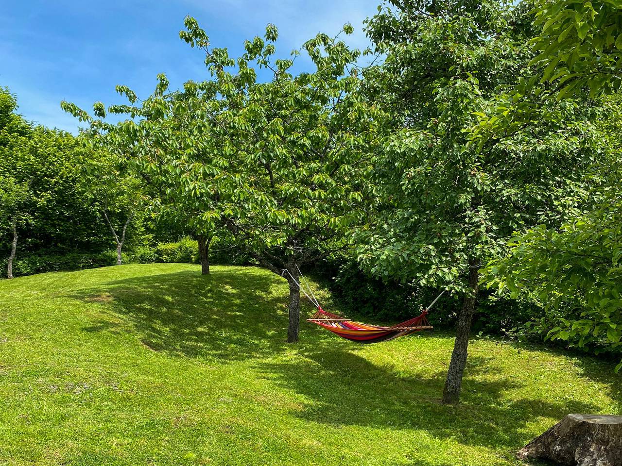 Maklen in Delnice, Primorje-Gorski Kotar