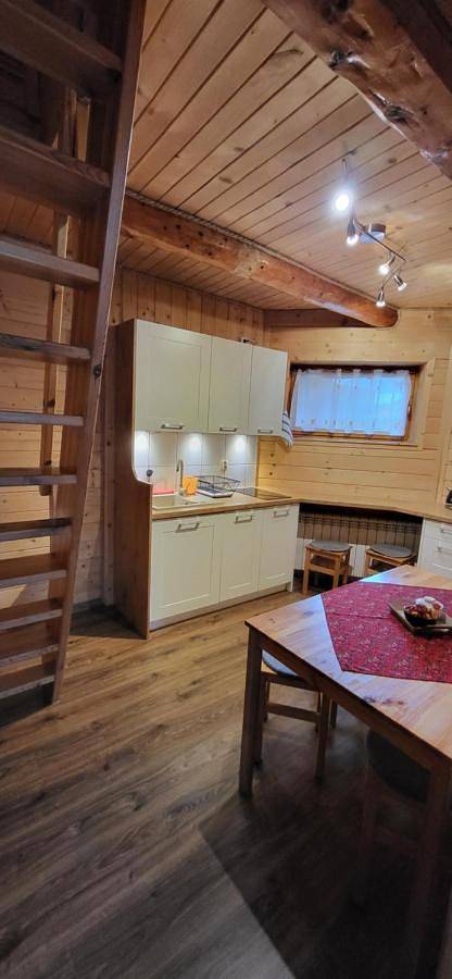 Cały apartament, Apartment - Ground Floor in Biały Dunajec, Karpaty (Polska)