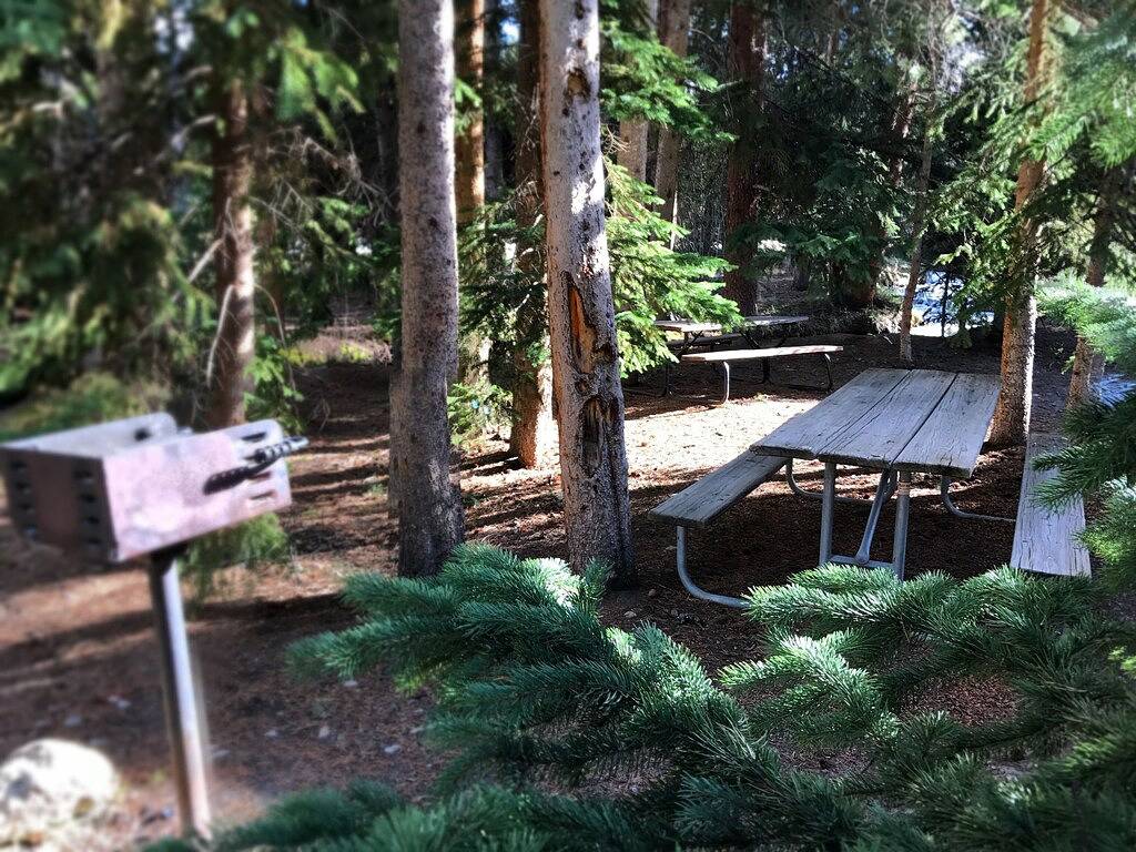 Ganze Wohnung, Wildwood - Luxus Ski In / Creekside Haustierfreundliche Wohnung im Herzen von Breck in Arapaho and Roosevelt National Forests