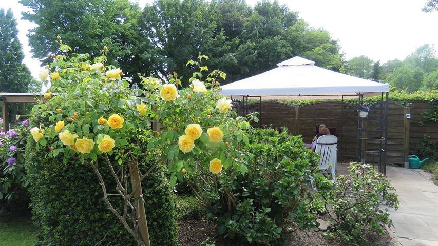 Ferienwohnung für 2 Personen, mit Garten im Oldenburger Münsterland - 3