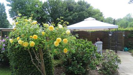 Appartement voor 2 Personen in Bad Zwischenahn, Nedersaksen, Afbeelding 2