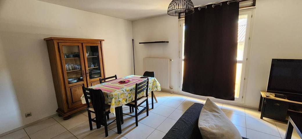 Gîte pour 3 personnes, avec terrasse, animaux acceptés à Saint-Laurent-sur-Saône - 3