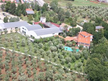 Casa Vacanza per 2 Persone in San Pietro a Maida, Costa Tirrenica Calabria, Foto 1