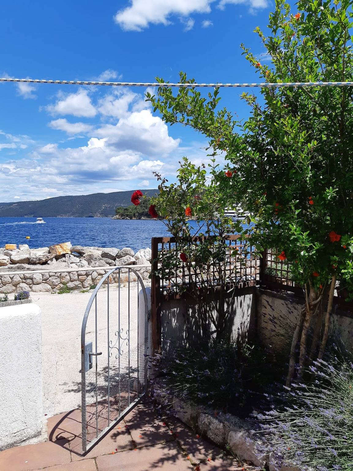 Ganze Wohnung, Apartments by the sea Valun, Cres - 20860 in Valun, Cres