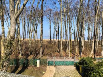 Ferienhaus für 6 Personen in Graal-Müritz, Rostock und Umgebung, Bild 3