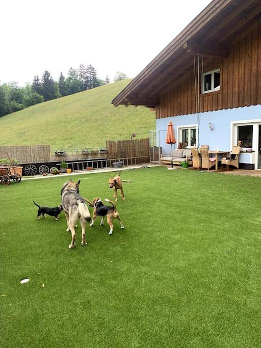 Ferienwohnung für 5 Personen, mit Terrasse und Garten