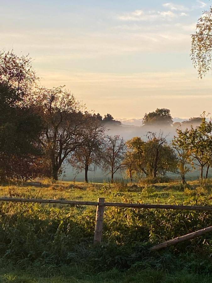 Ferienwohnung für 5 Personen, mit Terrasse und Garten in Welzheim - 3