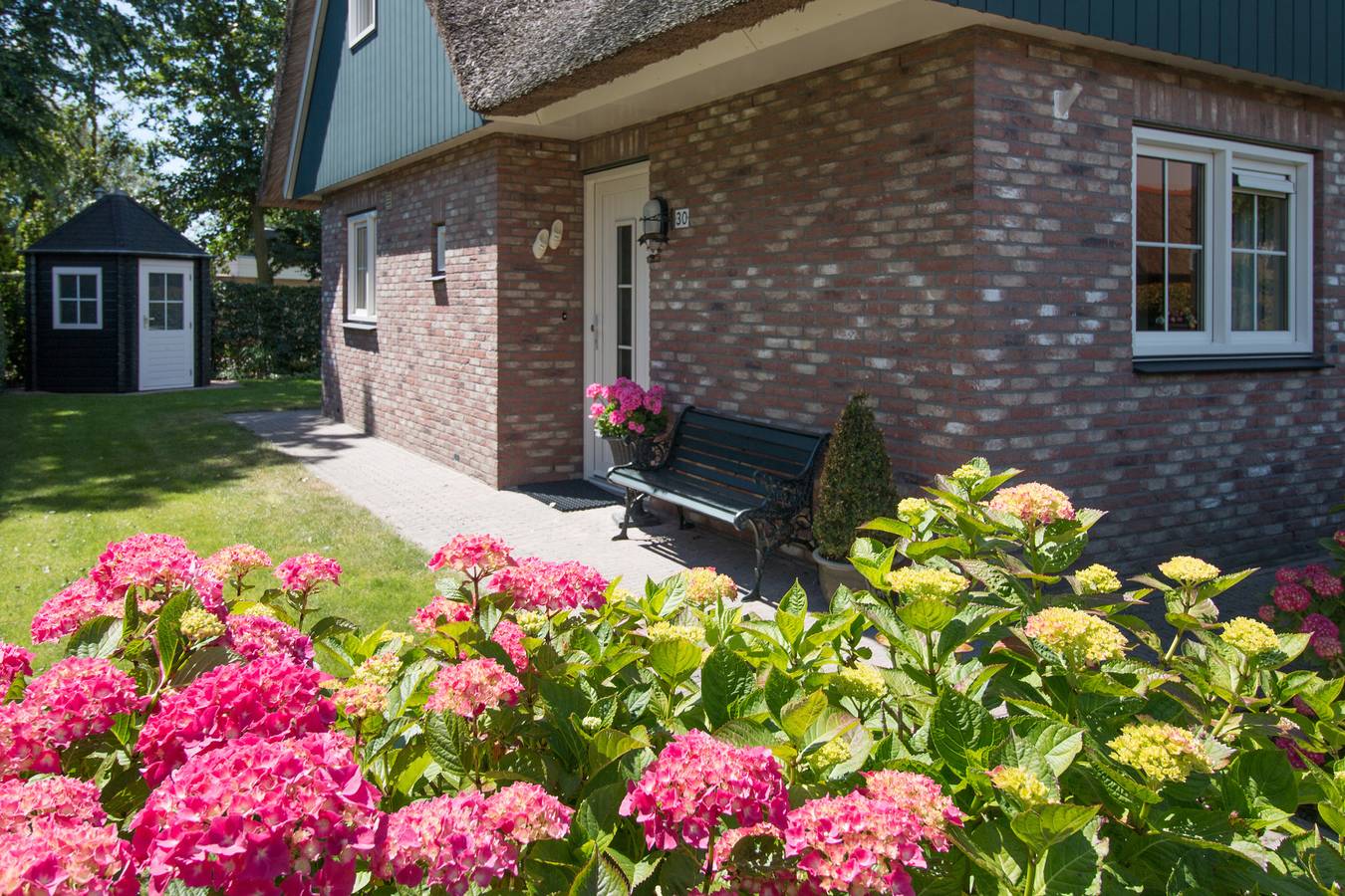 Great Vakantiehuizen — Anzelhoef 30 in Sint Maartensvlotbrug, Noord-Holland - Nordseeküste