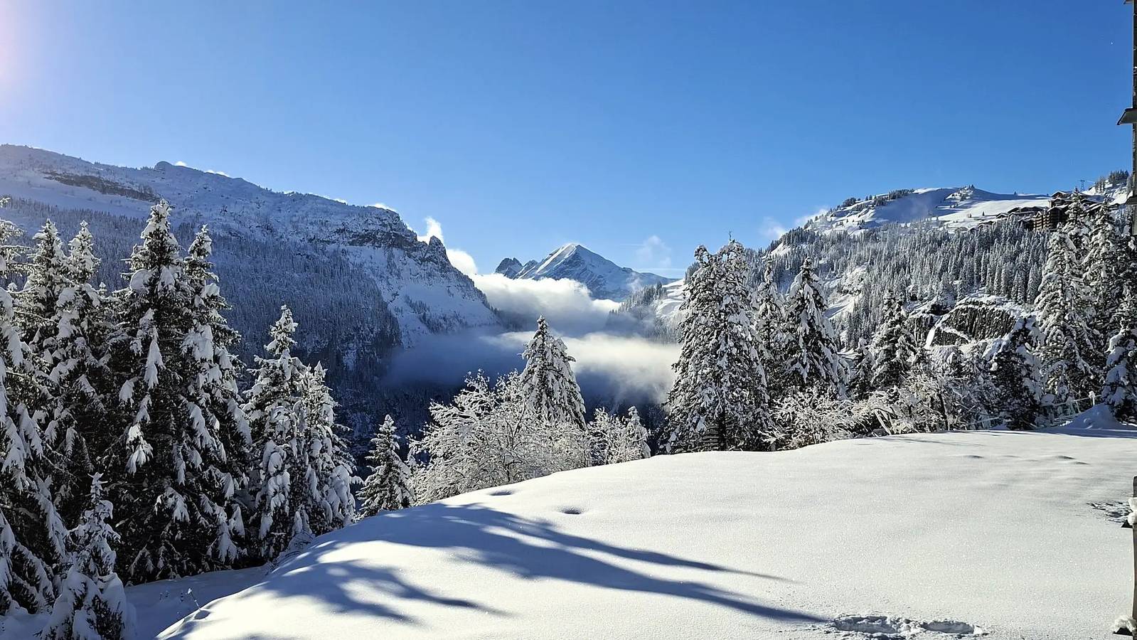 Studio entier, Studio confortable avec cabine · Proche des pistes et des commerces · Balcon in Flaine, Arâches-la-Frasse