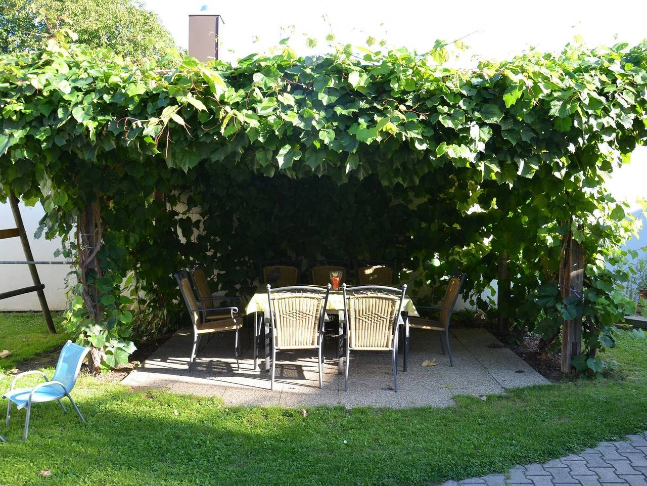 Ganze Wohnung, Weinbauernhof Löscher in Weinviertel
