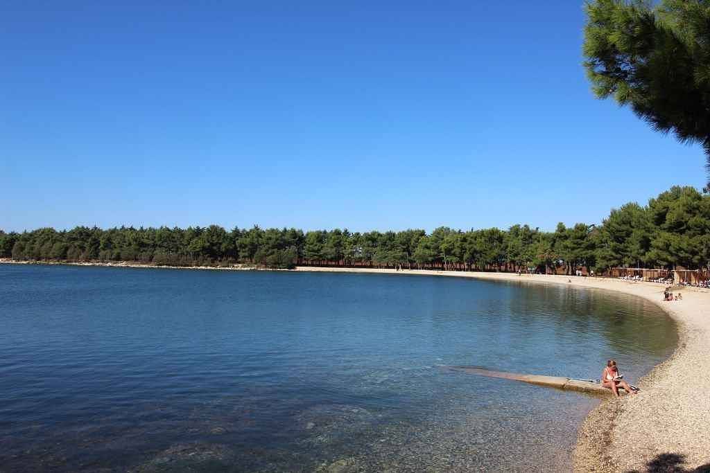 Appartamento intero, Appartamento per le vacanze con terrazza e grill  in Novigrad, Umago e dintorni