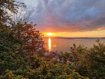 Ferieudlejning til 14 Personer i Fåborg, Lillebælt, Billede 3