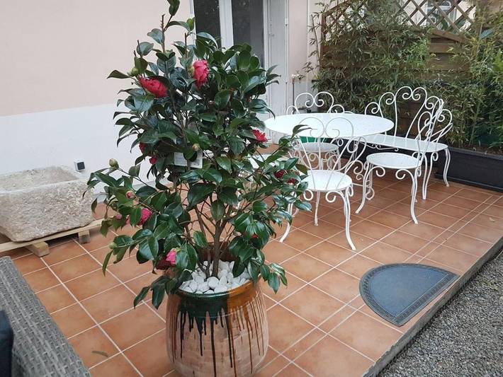 Gîte pour 9 personnes, avec balcon et vue à Céret - 4