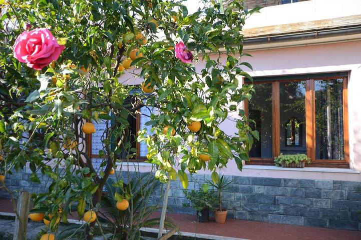 Ferienhaus für 4 Personen, mit Balkon und Garten - 1