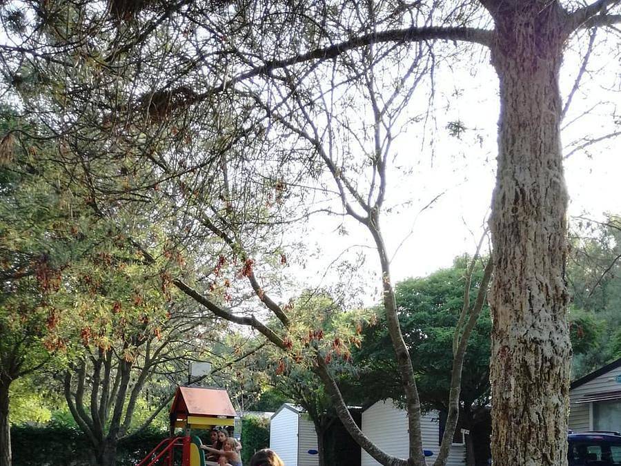 Camping Lou Cabasson - Chalet 2 personen - la Favière - overdekt terras, foto 9