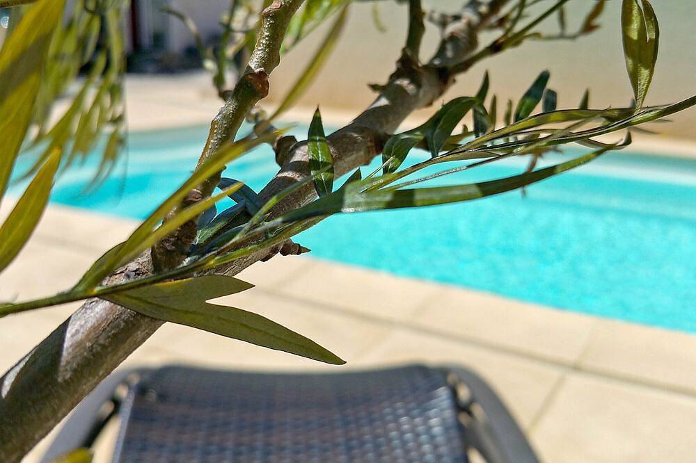 Villa Reiala: 130 m² rustig, zwembad en privétuin. Strand en dorp op 800 m in Carry-le-Rouet, Istres en omgeving