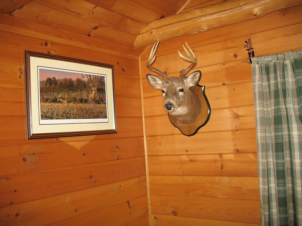 Vacation Home for 6 Guests in Pittsburg (NH), New Hampshire