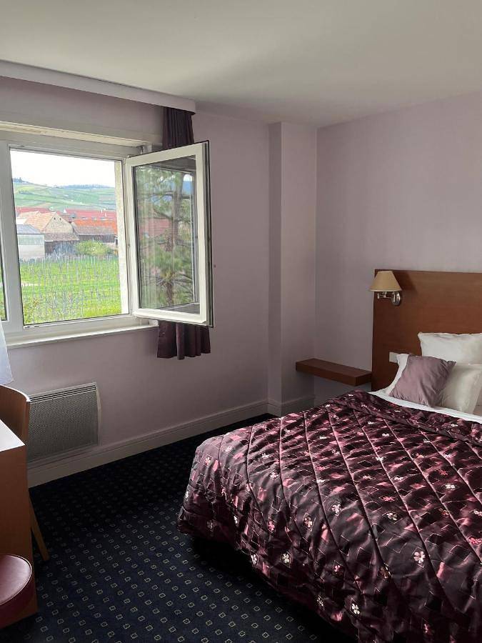 Hôtel pour 4 personnes, avec jardin et terrasse, animaux acceptés à Wettolsheim - 2