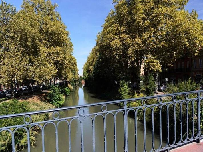Gîte pour 4 personnes, animaux acceptés à Toulouse - 2