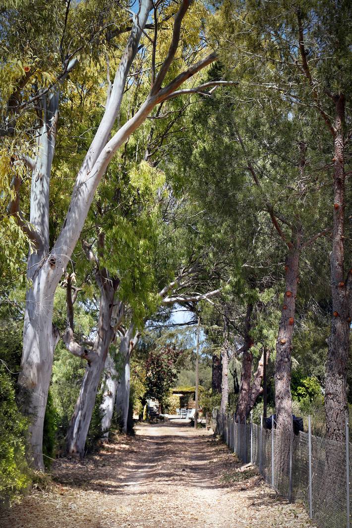 Ferienhaus für 12 Personen, mit Terrasse und Garten auf Mallorca - 4