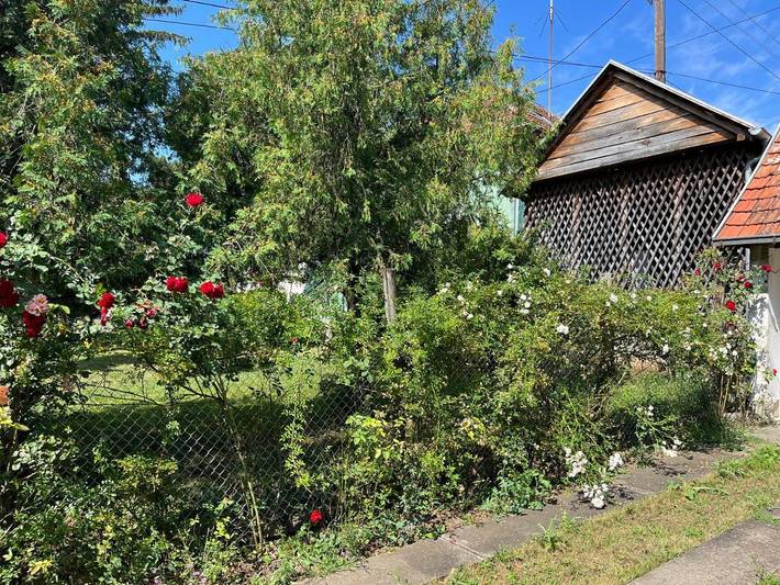 Gîte pour 5 personnes, avec jardin et vue, animaux acceptés dans Kursumlija