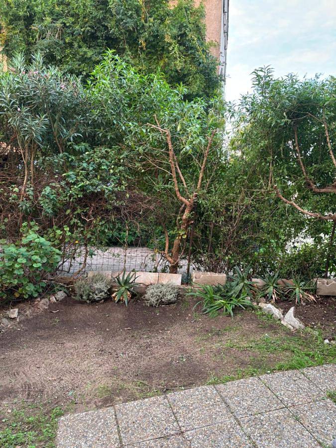 Location de vacances pour 2 personnes, avec terrasse et jardin à L'Île-Rousse - 2