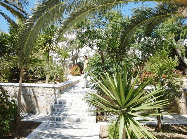 Gîte pour 2 personnes, avec jardin et terrasse dans Koufonisia - 4