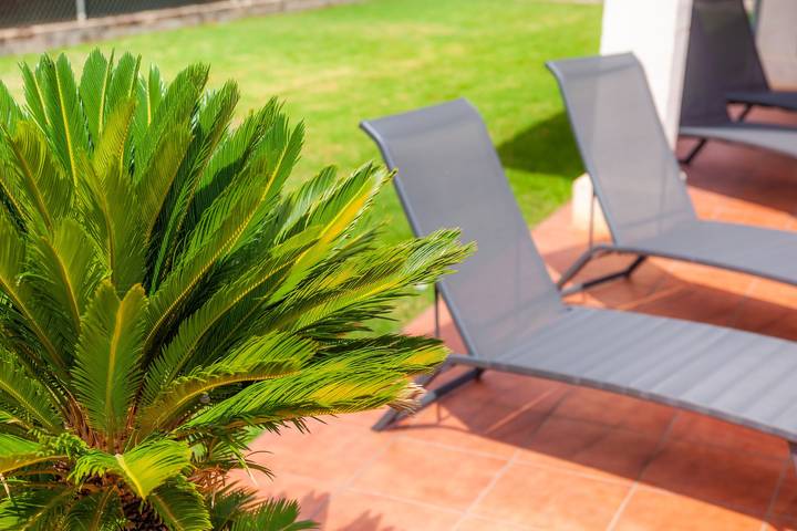 Finca für 4 Personen, mit Garten auf Mallorca Inselmitte - 3