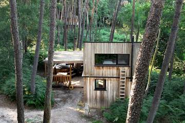 Ferienhaus für 4 Personen, mit Terrasse und Whirlpool, mit Haustier in Maaseik