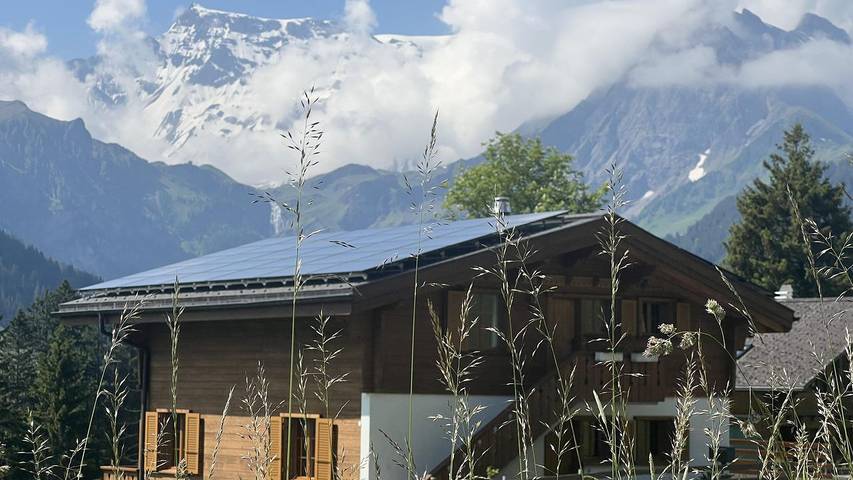 Hütte für 2 Personen, mit Garten, mit Haustier in Adelboden - 2