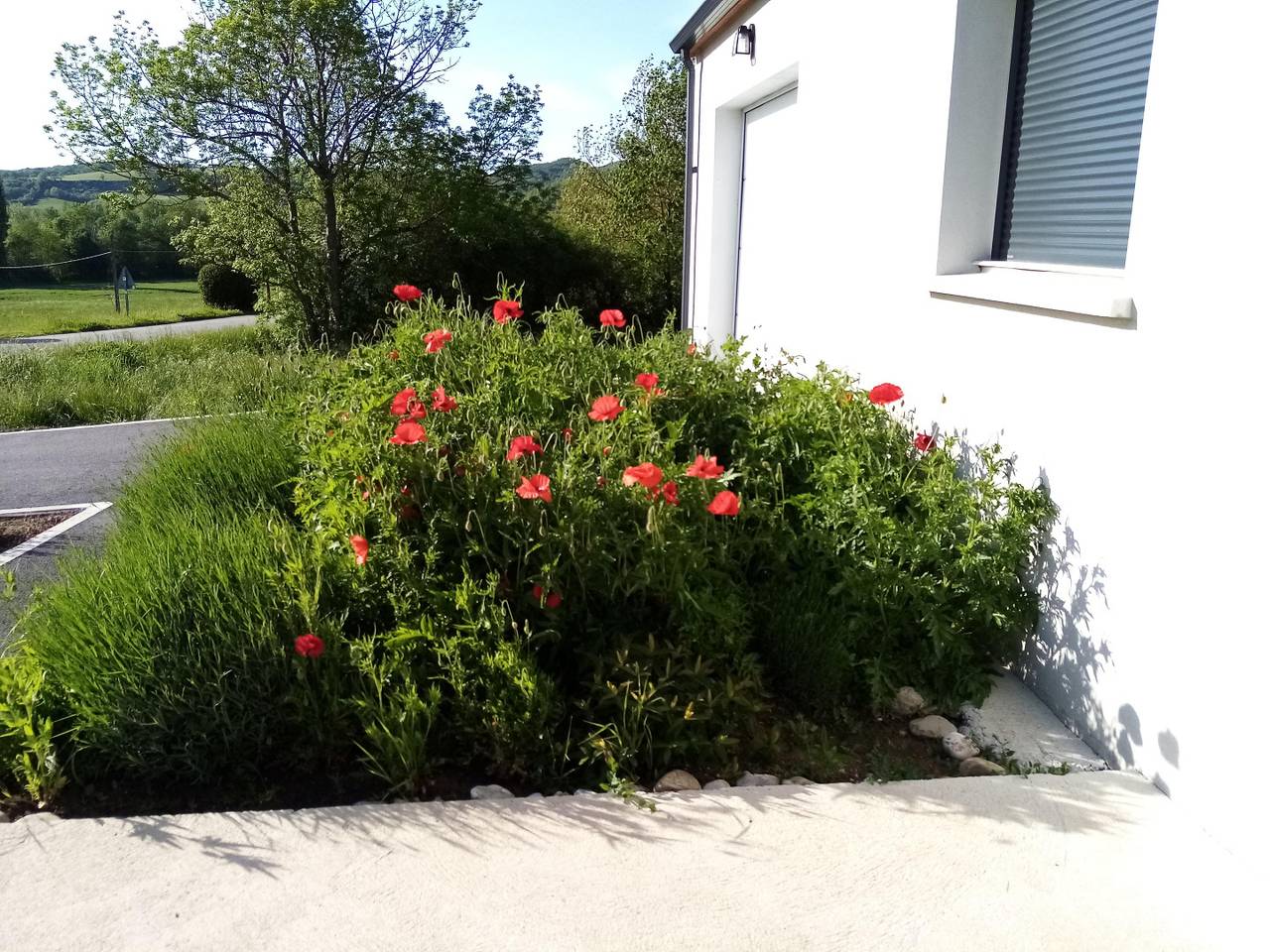 Les Coquelicots in Sonnac-sur-l'Hers, Limoux und Umgebung