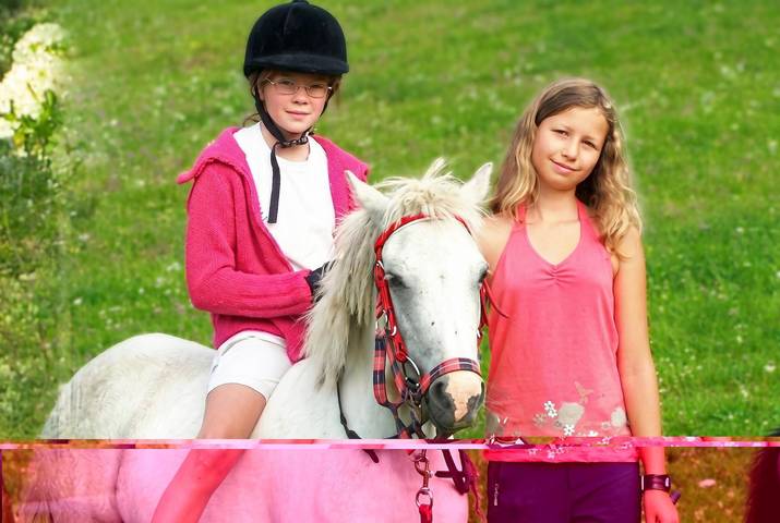 Ganze Ferienwohnung, Ferienwohnung Typ 3 in Karawanken und Bachergebirge, Feistritz ob Bleiburg