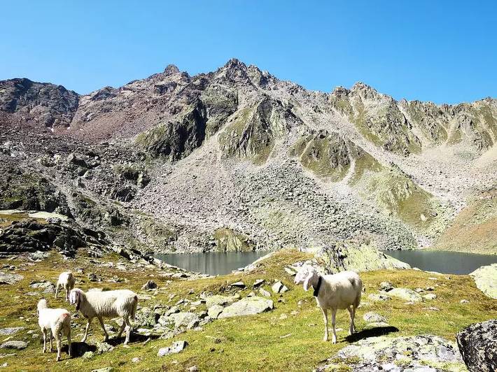 Villa für 10 Personen, mit Garten und Sauna im Ötztal - 4