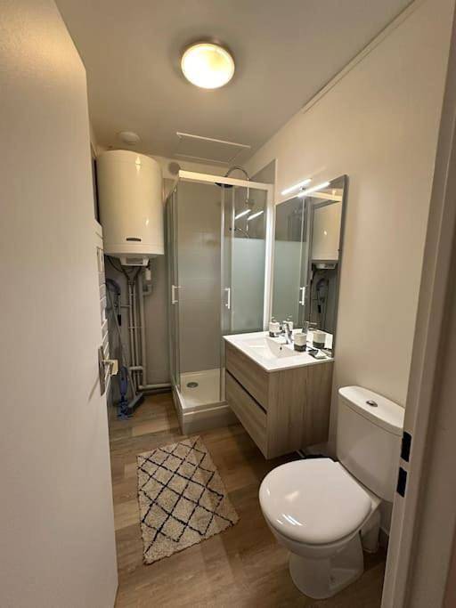 Gîte pour 4 personnes, avec balcon à Brie-Comte-Robert - 3