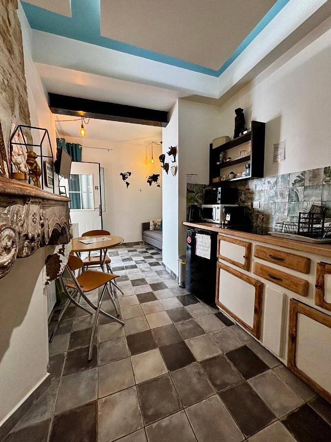 Gîte pour 2 personnes, avec terrasse, animaux acceptés dans Theatre Des Feuillants Dijon - 4