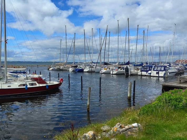 Location de vacances pour 16 personnes, avec terrasse, adapté aux familles à Ebeltoft - 3