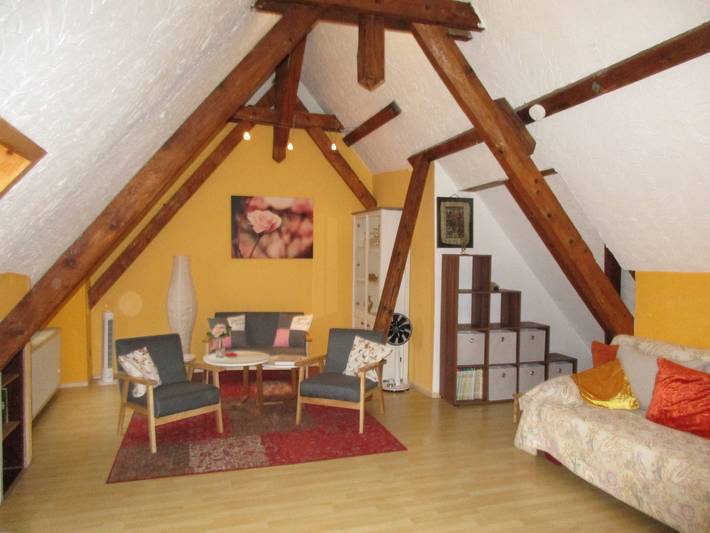 Geheel appartement, Appartement "La Rose" met gedeelde tuin & Wifi in Tengen, Hegau