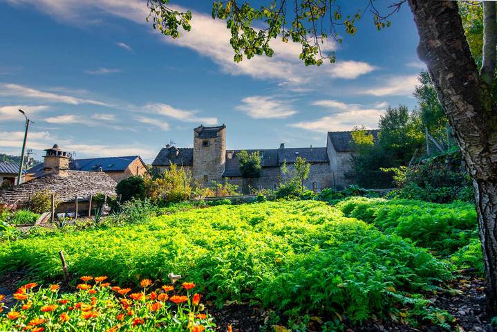 Gîte pour 4 personnes, avec jardin à Saint-Étienne-du-Valdonnez - 4