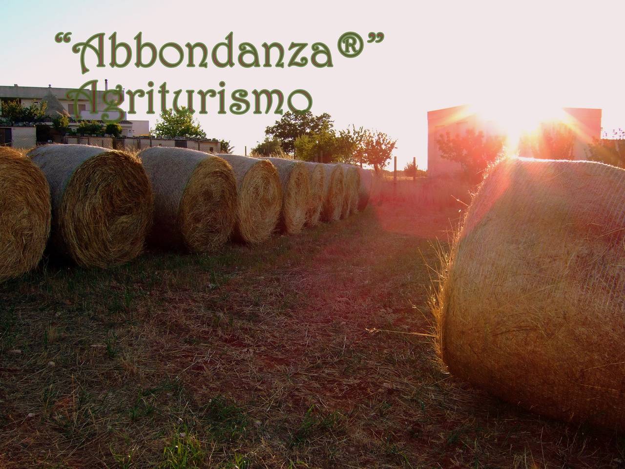 Agritourisme Abbondanza® in Alberobello Region, Province de Bari